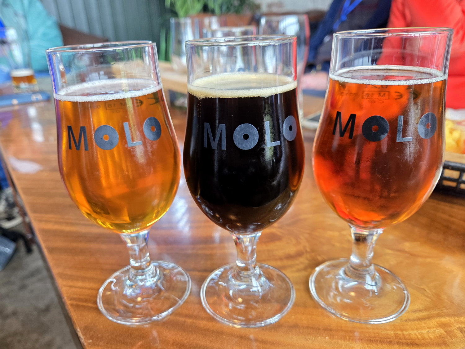 molo beers