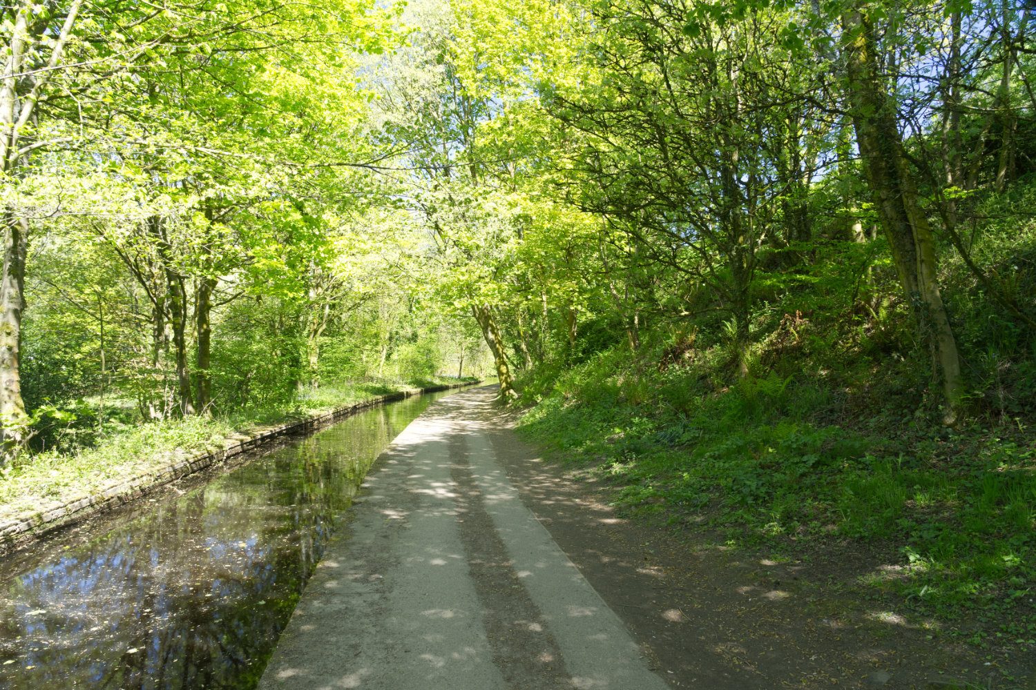 Huddersfield 14C