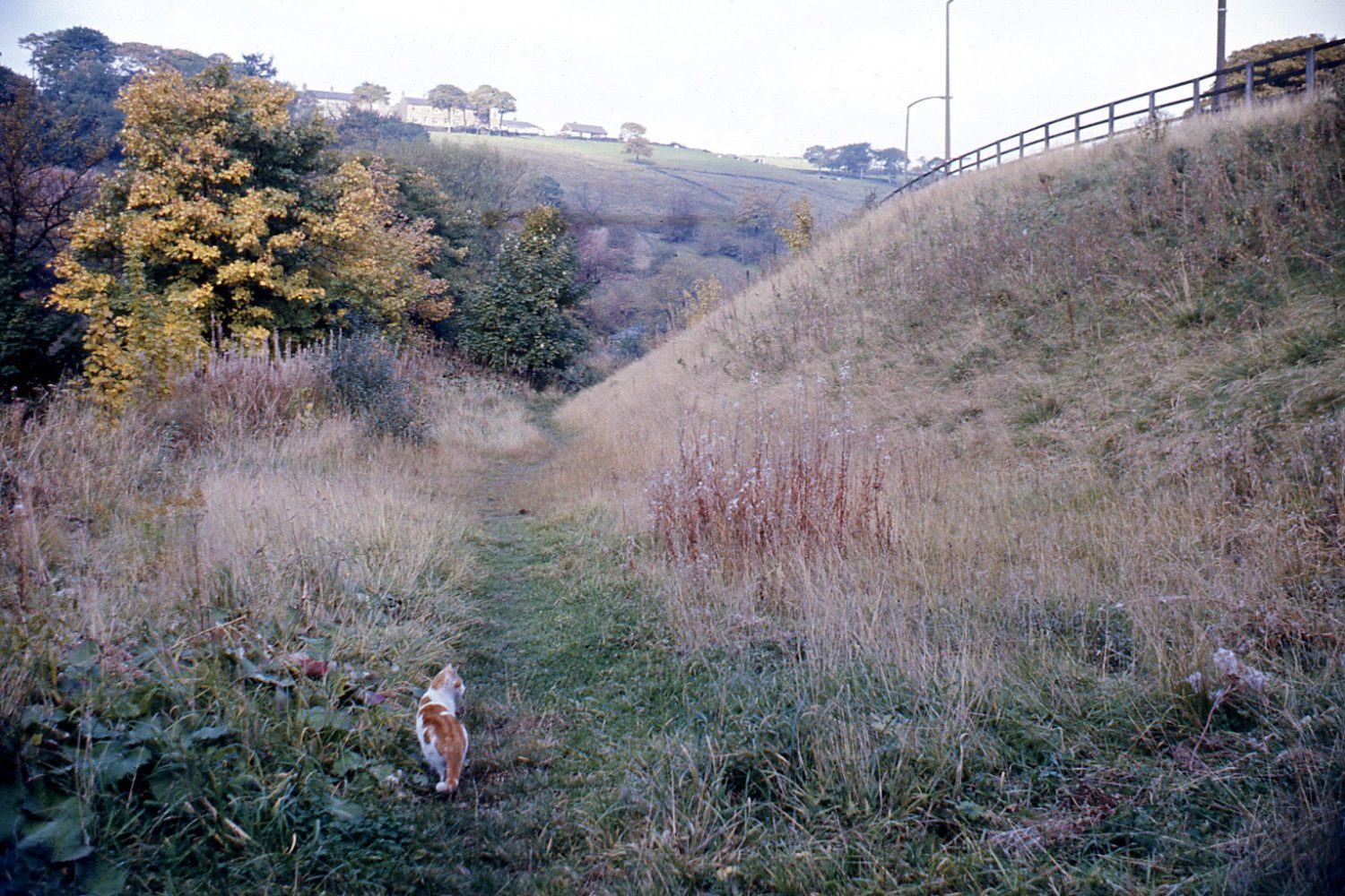 huddersfield 14A