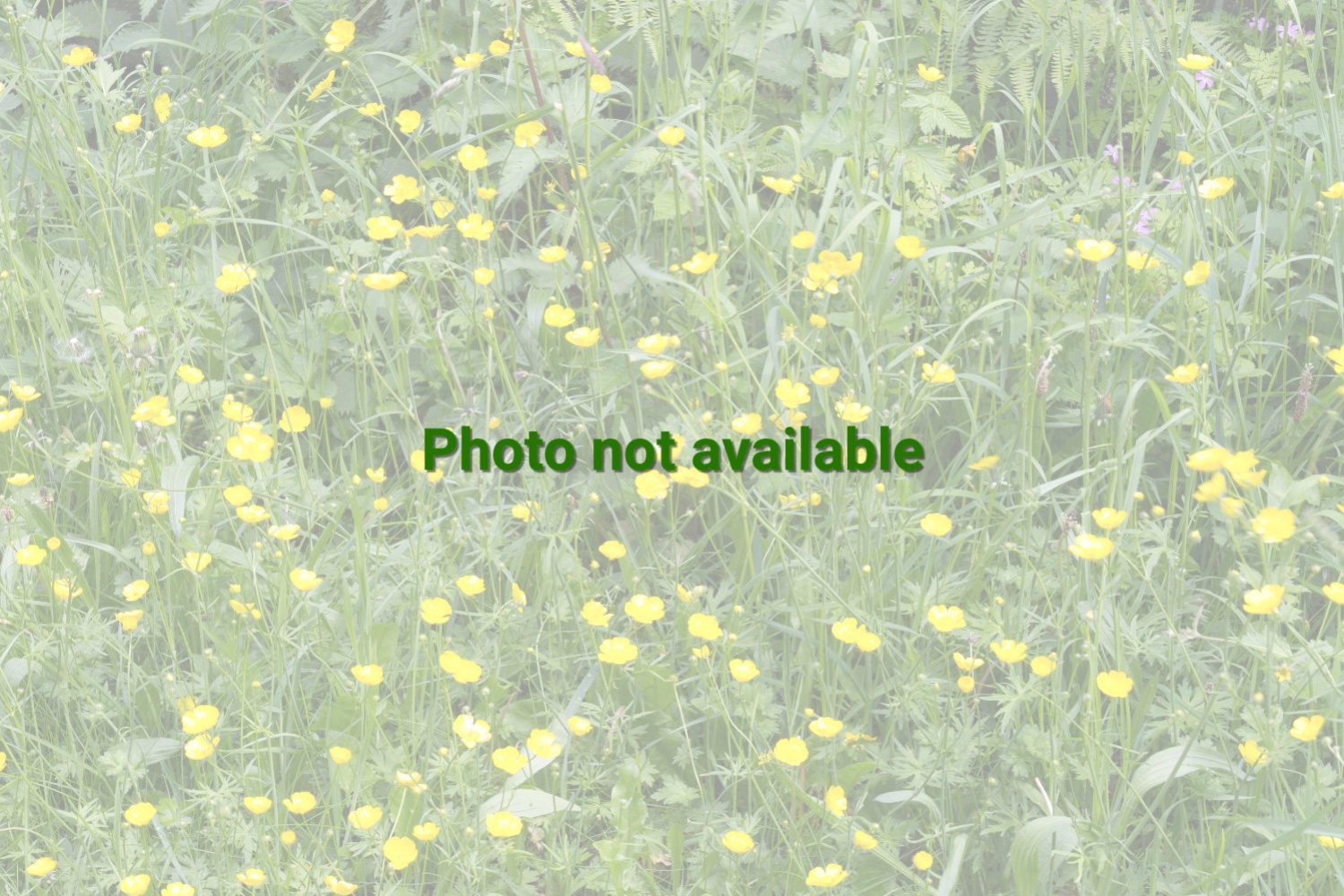not available